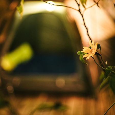 Tram Homestay Thon An Hoa Zewnętrze zdjęcie